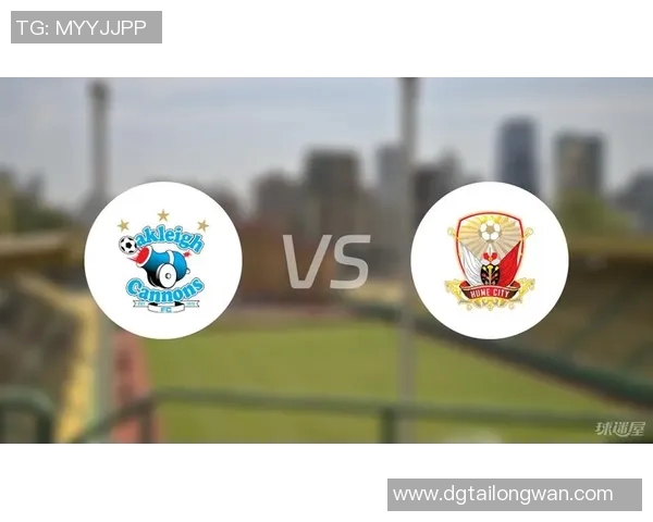 休城对决欧克莱卡诺精彩赛事分析与战术探讨